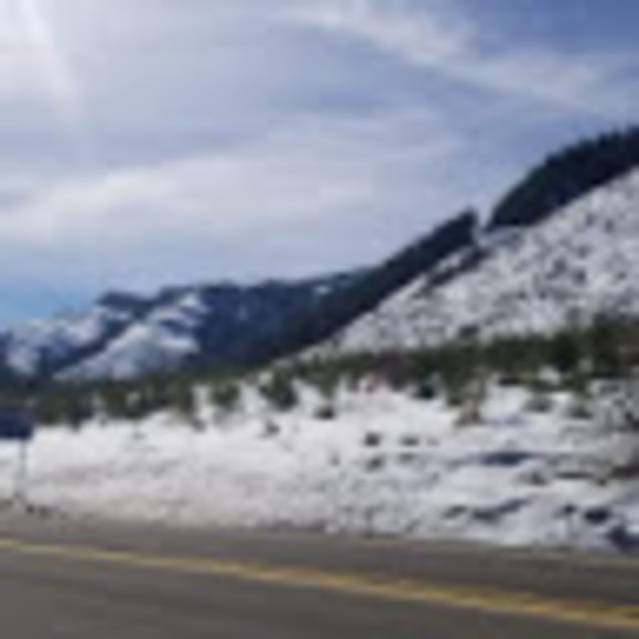 Meet your Posher, Gina - Picture 1 of 1